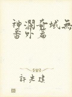 神澜奇域无双珠番外篇