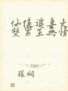 仙侠追妻火葬场双男主无情道封面