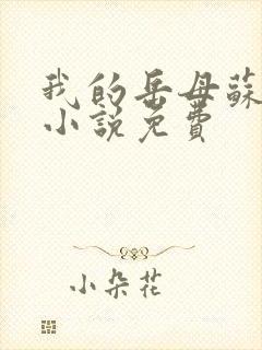 我的岳母苏沛真小说免费封面