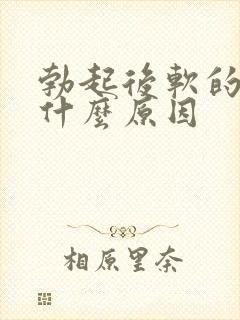 勃起后软的快是什么原因