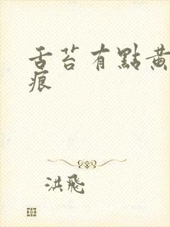 舌苔有点黄有齿痕