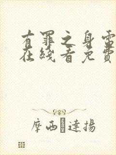 有罪之身电视剧在线看免费