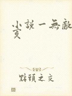小说一无敌真寂寞