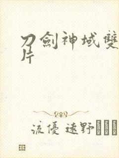 刀剑神域双剑图片封面