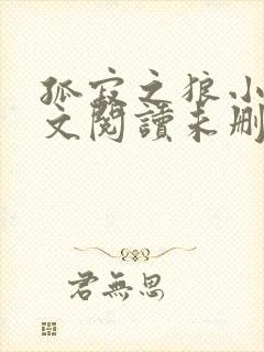 孤寂之狼小说全文阅读未删减版