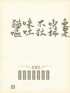 猫咪不吃东西还呕吐拉稀是怎么回事封面