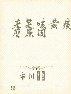 老是咳黄痰是什么原因