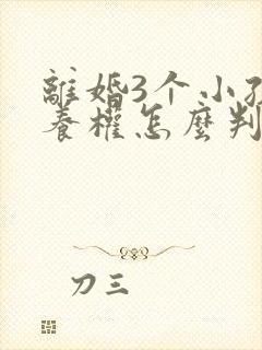 离婚3个小孩抚养权怎么判