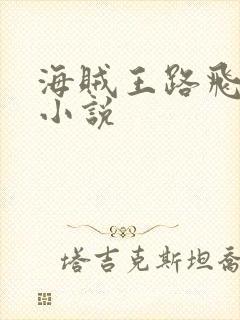 海贼王路飞同人小说封面