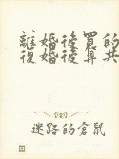 离婚后买的房子复婚后算共同财产吗