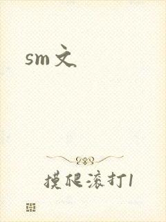 sm文