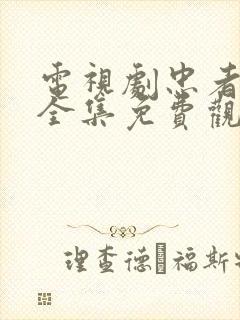 电视剧忠者无敌全集免费观看