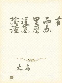 阴道里面有豆腐渣怎么办封面