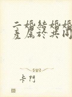 二婚结婚婚前财产属于共同财产吗