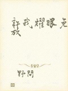 许我耀眼免费播放