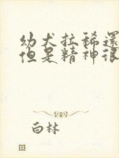 幼犬拉稀还带血但是精神很好封面