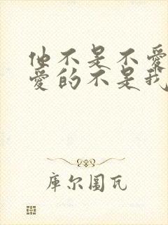 他不是不爱只是爱的不是我小说