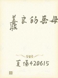 善良的岳母影视版