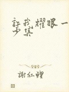 许我耀眼一共多少集