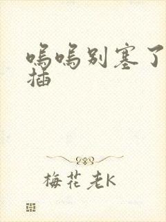 呜呜别塞了啊抽插封面