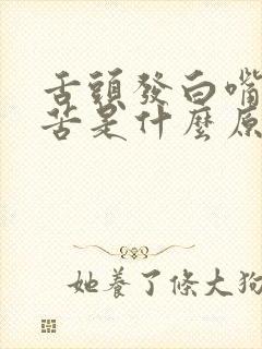 舌头发白嘴里发苦是什么原因