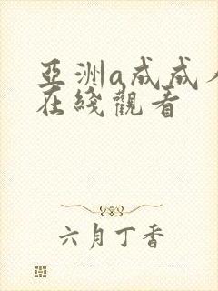 亚洲a成成人v在线观看封面