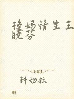 后妈情生王磊杨晓芬封面