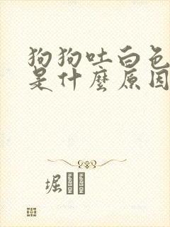 狗狗吐白色液体是什么原因