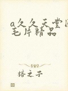 a久久天堂国产毛片精品