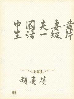 中国夫妻黄色性生活一级片