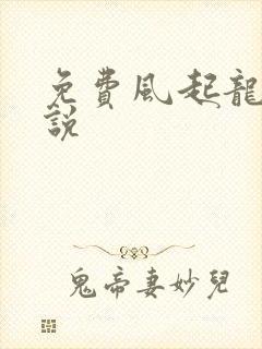 免费风起龙城小说封面