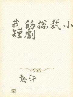 我的总裁小是姨短剧