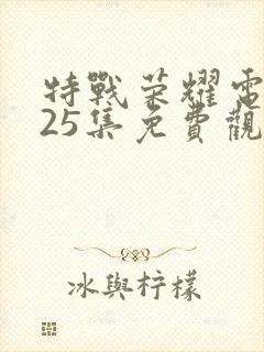 特战荣耀电视剧25集免费观看