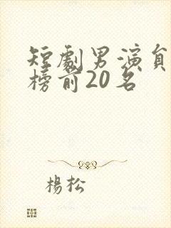 短剧男演员排行榜前20名
