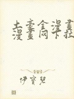 土豪金漫画免费漫画网下拉式