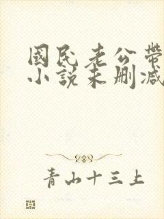 国民老公带回家小说未删减