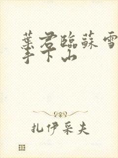 叶君临苏雪儿高手下山