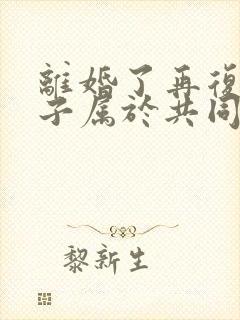 离婚了再复婚房子属于共同财产吗