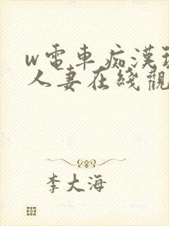 w电车痴汉玩弄人妻在线观看