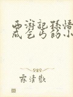 西游记孙悟空变成乞丐的小说封面