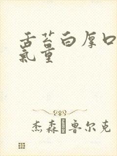 舌苔白厚口苦湿气重