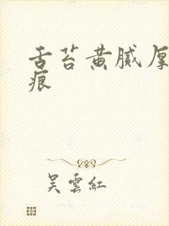 舌苔黄腻厚有齿痕