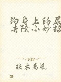 狗身上的尿骚味去除小妙招