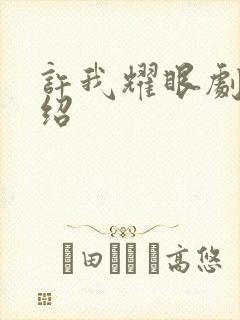 许我耀眼剧情介绍