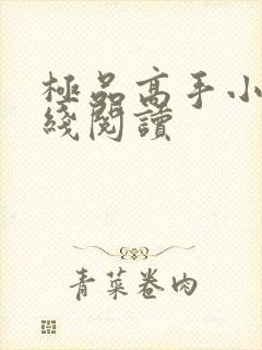 极品高手小说在线阅读