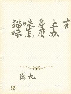 猫咪身上有尿骚味怎么办