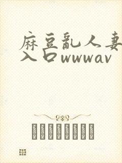 麻豆乱人妻精品入口wwwav
