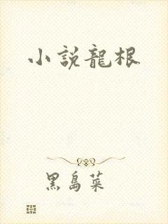小说龙根