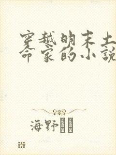 穿越明末土匪革命家的小说