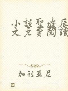 小说圣墟辰东全文免费阅读